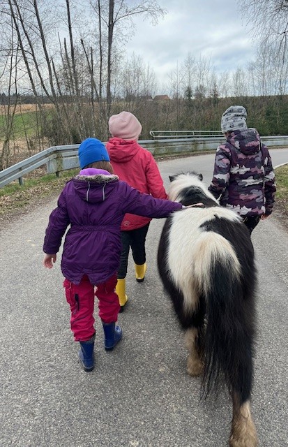 2024 furthmühle pfullendorf tierpädagogik in der jugendhilfe